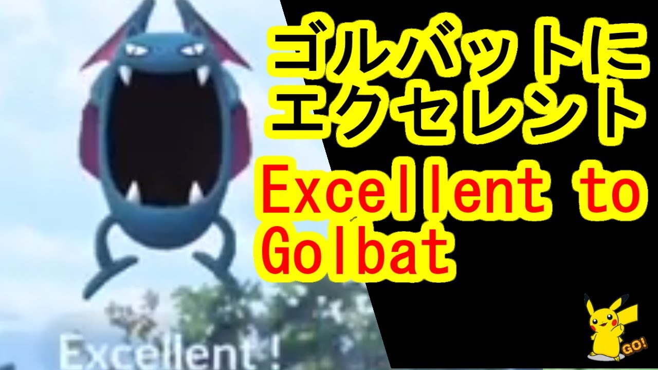 野生ゴルバットにカーブサークル固定でエクセレントスロー