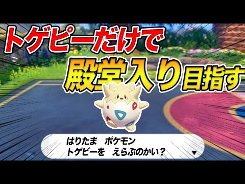 【ポケモン剣盾】トゲピー1匹だけで殿堂入りを目指すポケモンソードシールド #1