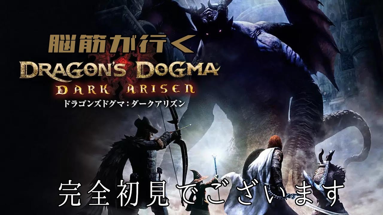 #ドラゴンズドグマ　脳筋が行く　ドラゴンズドグマダークアリズン　１日目　part２