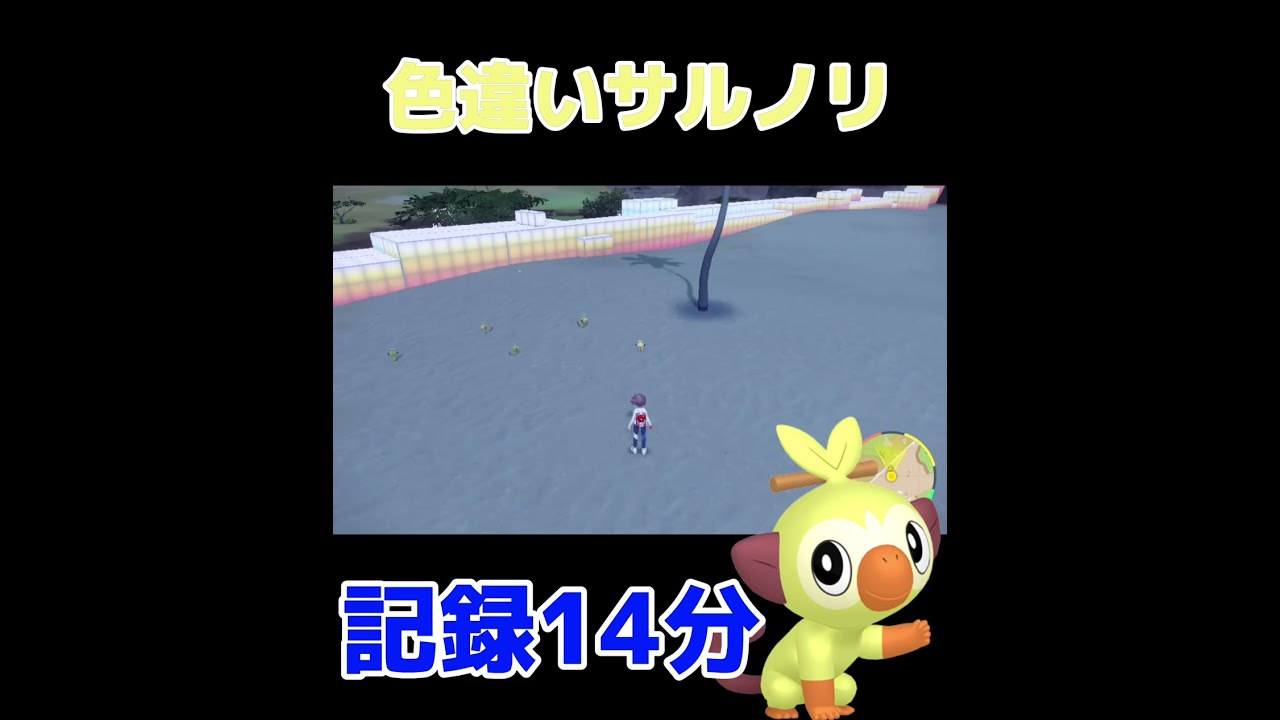 とうもろこしみたいな色違いサルノリ #ポケモンSV #色違い #パルデア地方