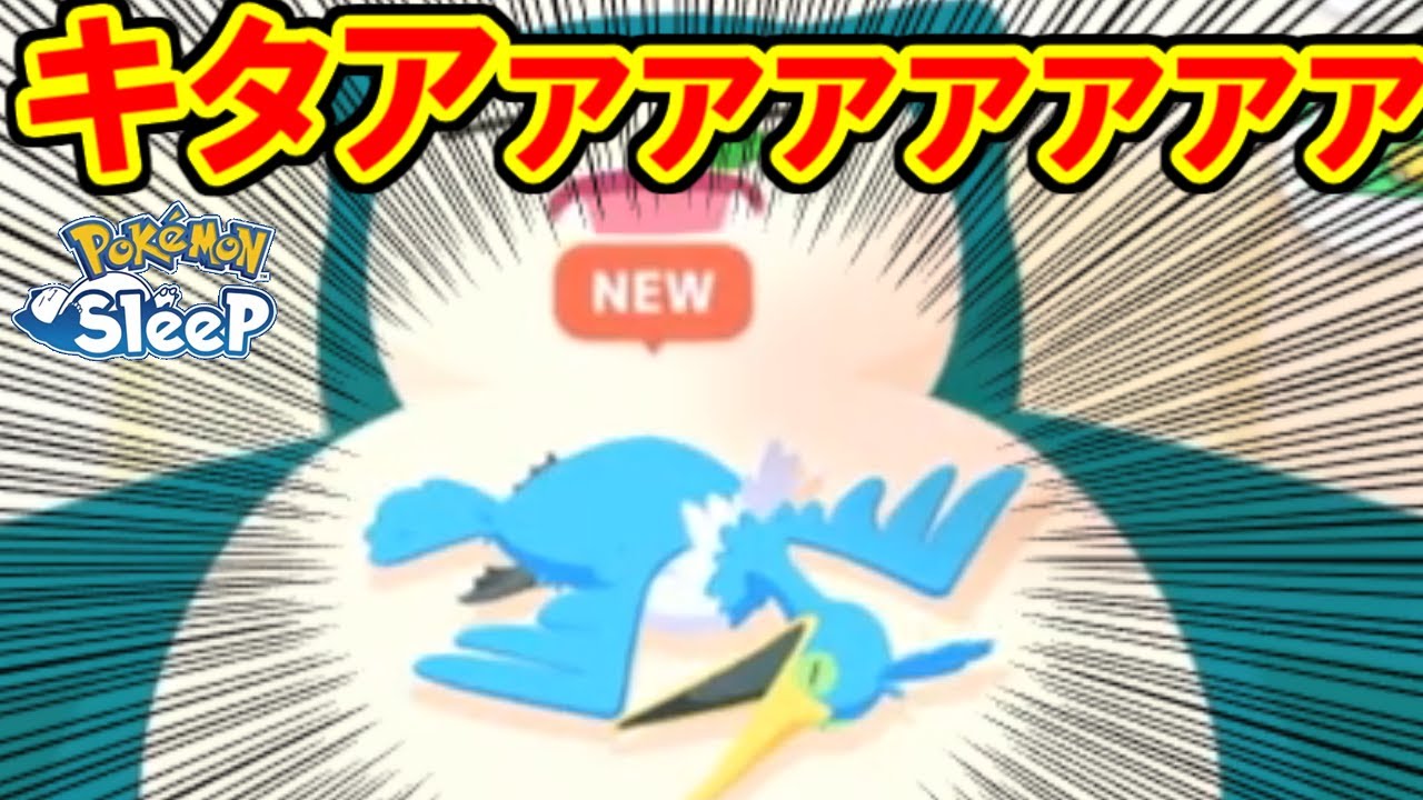 ついにウッウきたぞおおおおお！！！！！！【ポケモンスリープ】