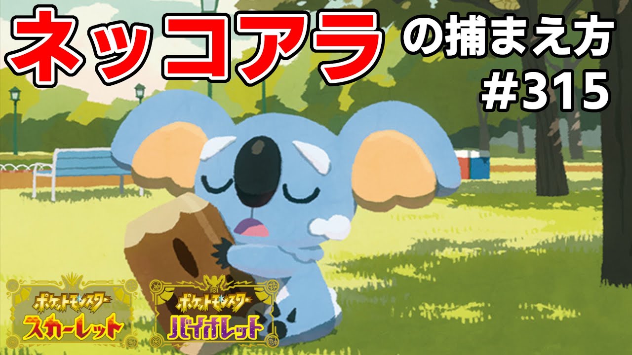 ネッコアラを探している方に見てほしい動画