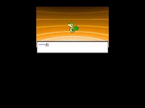 Pokémon Black: ツタージャ (Tsutarja) Evolves Into ジャローダ (Jaroda)