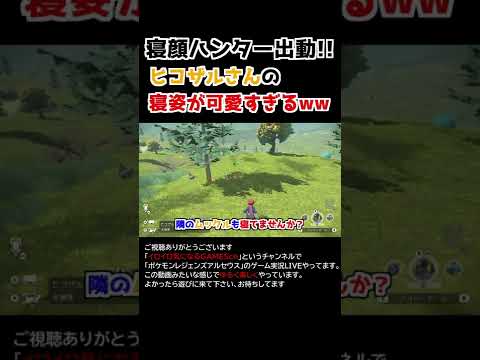 ヒコザルさんの「寝姿」が可愛すぎるww【Pokémon LEGENDS アルセウス】【寝顔ハンター】