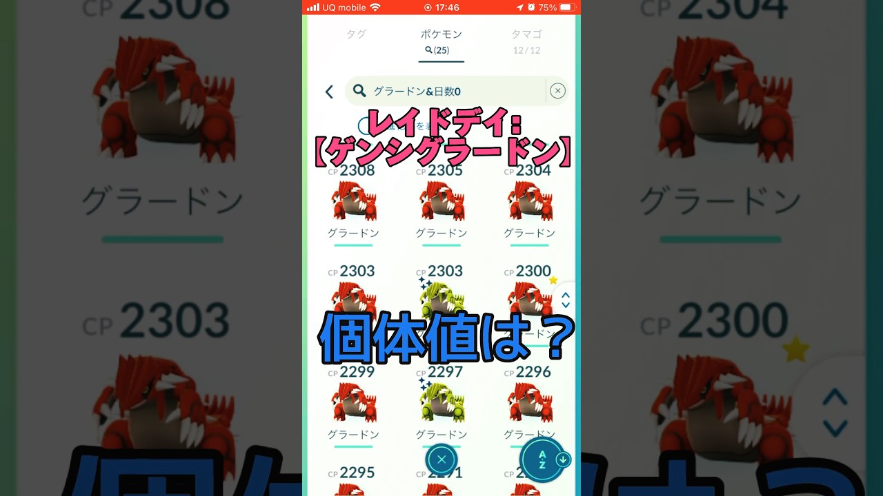 グラードン連戦結果！高個体値は？！【ポケモンGO】【レイドデイ:ゲンシグラードン】　　　　　　　　#ポケモンgo  #pokemongo #ポケモン #ポケモンカード #ポケカ #開封 #グラードン
