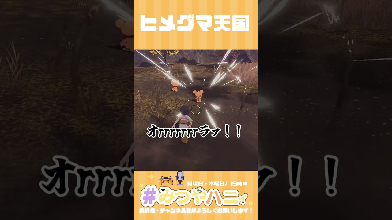 ヒメグマ天国【ポケモンレジェンズ アルセウス】 #ポケモン #ポケモンLA #pokemon #pokemonlegends  #ゲーム実況 #切り抜き #shorts