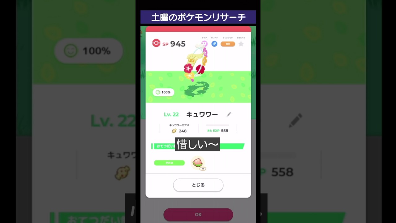 惜しいキュワワー【#shorts 】