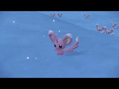 藍の円盤　チラーミィ　色違い