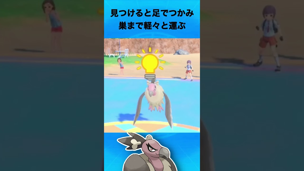 バルジーナについて #ポケモン #バルジーナ