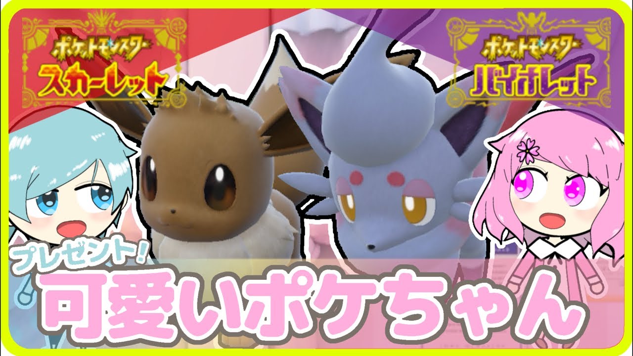 【親子でポケモンsv】さくらちゃんより⭐︎ヒスイ産イーブイ・ゾロアちゃんをプレゼント♪記念プロフィールも撮影しよう〜！　 #ポケモンsv #ポケモン好きと繋がりたい #ゲーム実況