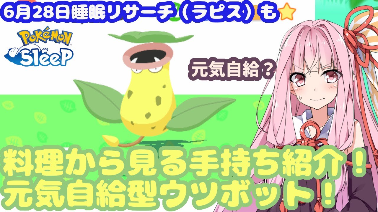 【ポケモンスリープ】料理から見る手持ち紹介！元気自給型ウツボット【無課金攻略341日目】