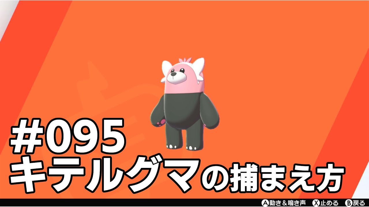 キテルグマを探している方に見てほしい動画