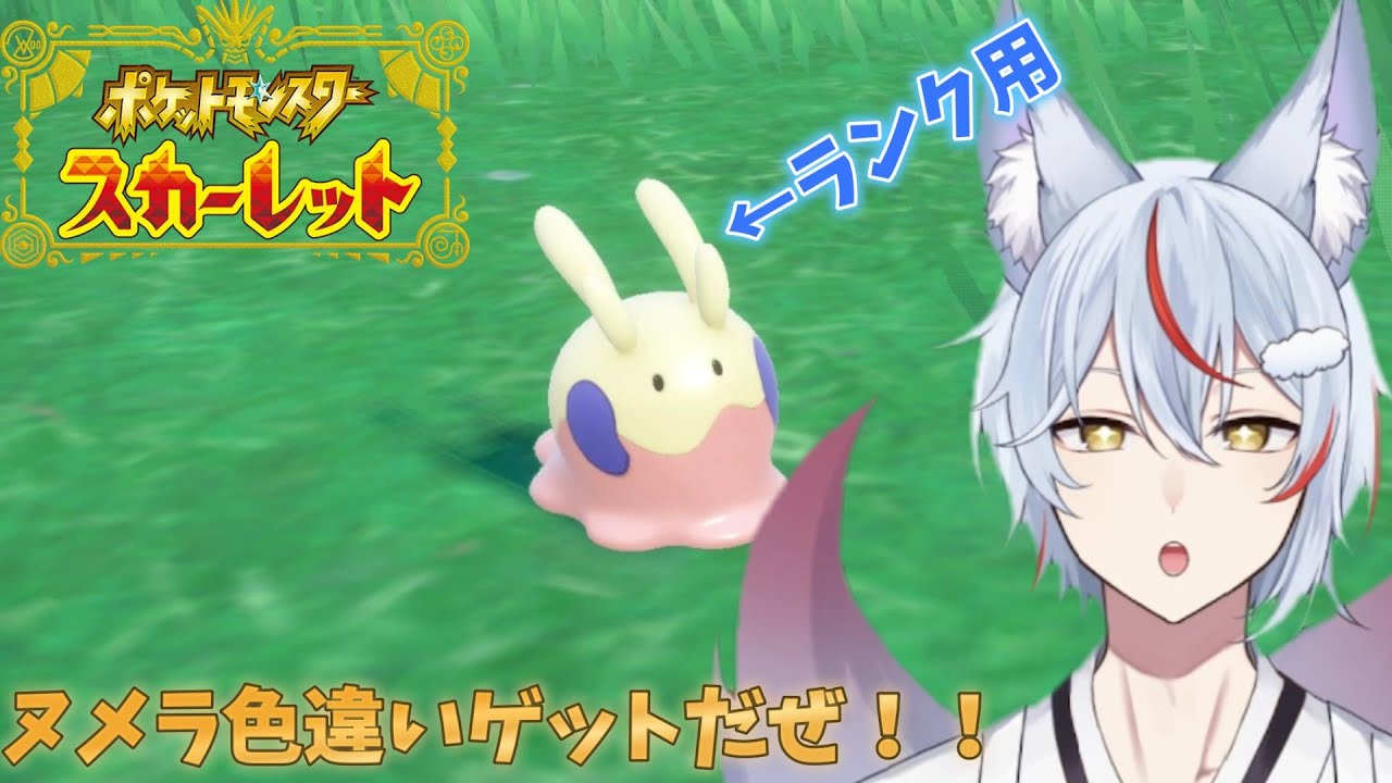 【ポケモンSV】ランクで色違いヌメルゴン使いたくて！！【九尾乃むらくも/新人Vtuber】
