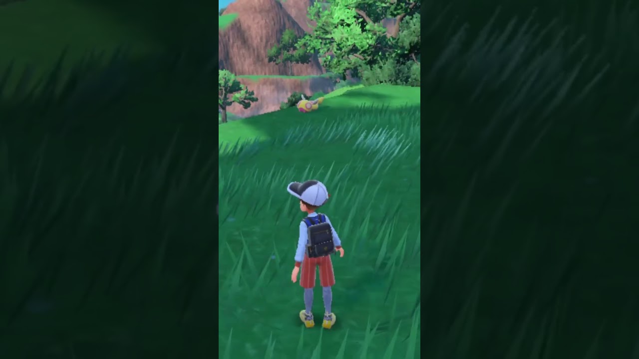 【ポケモンSV】ノコッチ大量発生でてたから準備してたら出てきたやつ