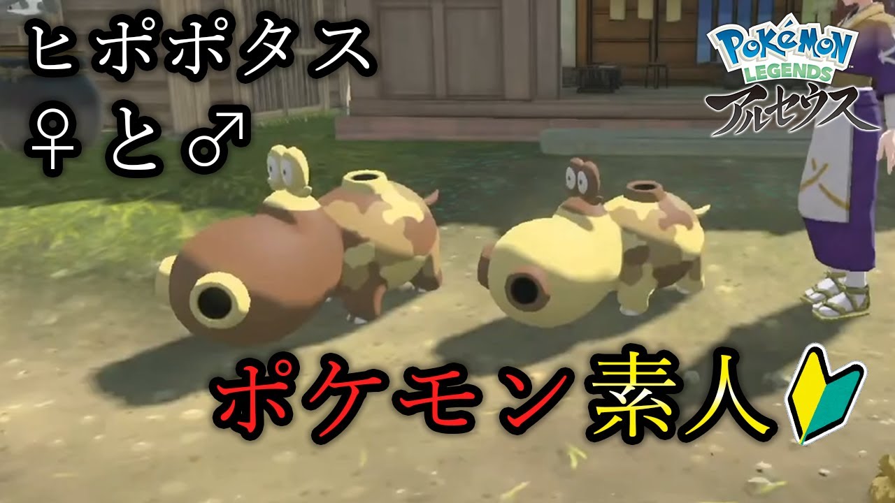 【レジェンズ アルセウス】勘違いの結果、ヒポポタスの♂と♀探しにめっちゃ苦労したポケモン素人【Pokémon LEGENDS アルセウス】