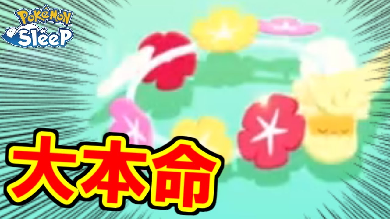 湖畔キュワワーきたぞおおおおお！！！！！【ポケモンスリープ】