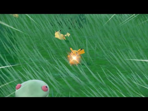 【ポケモンSV】朝の涼しい時間、雨の中出てくる色違いの仲間たち【ポケモンSV配信】
