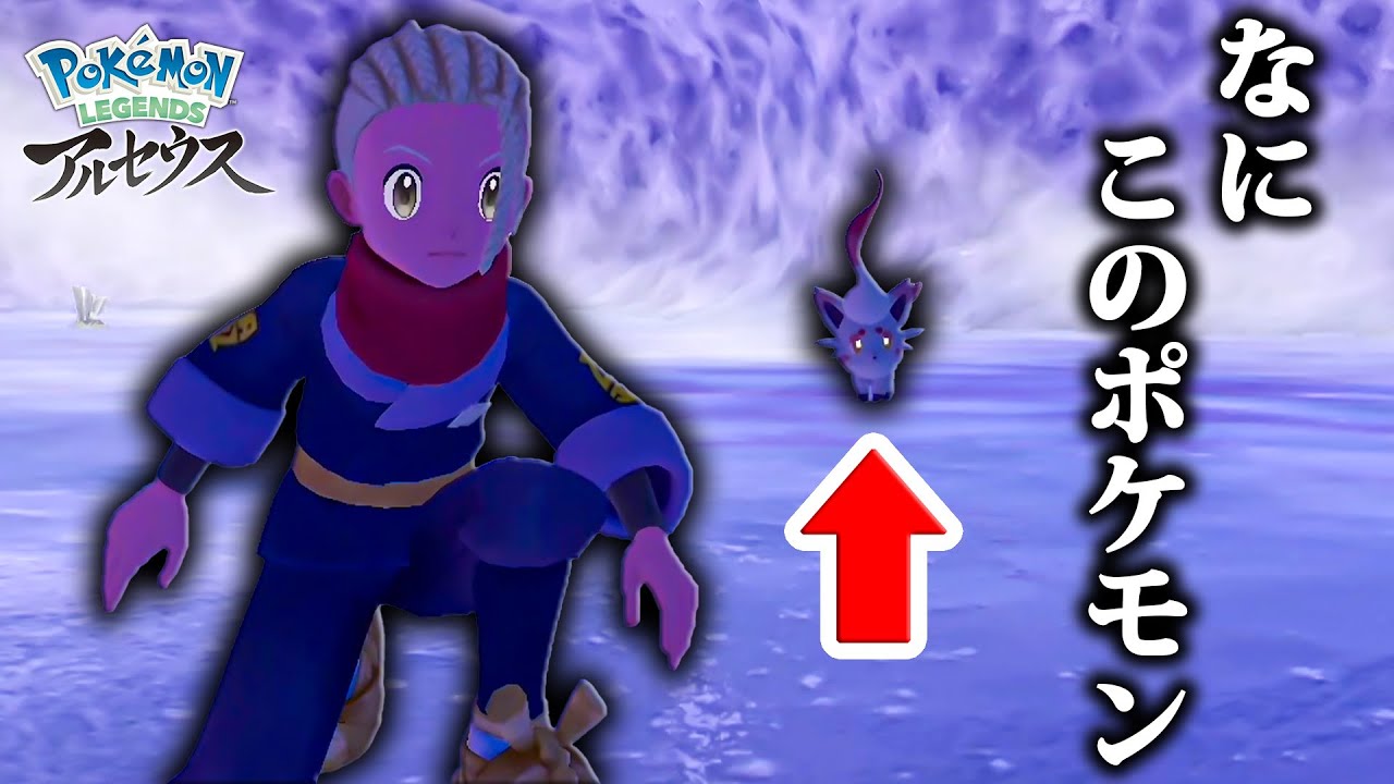 ん？ゾロア！？！？！？！？『ポケモンレジェンズアルセウス』PART9-1
