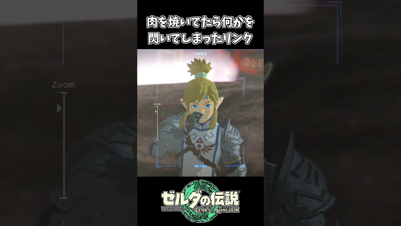 【ティアキン】肉を焼いてたら何かを閃いたリンク【ゼルダの伝説 ティアーズ オブ ザ キングダム】