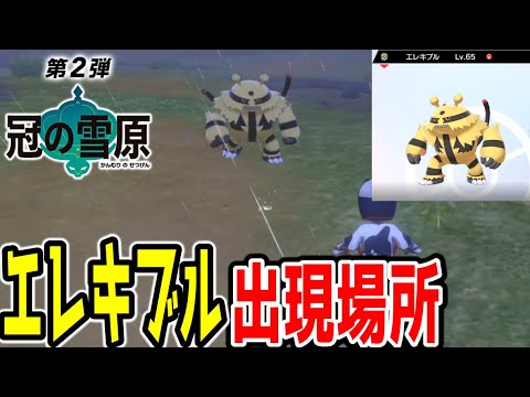 【ポケモン剣盾冠の雪原】エレキブル出現場所