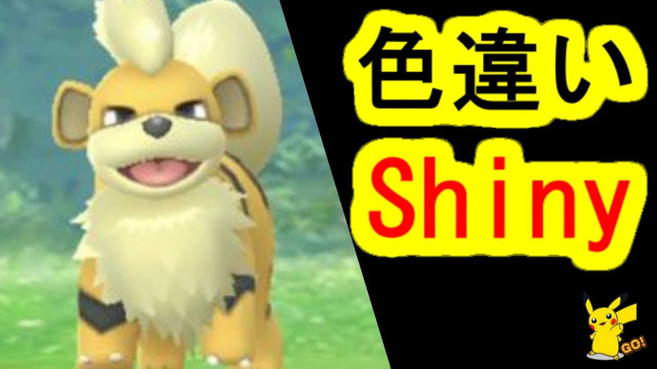 ガーディの色違いを捕獲入手(ポケモンGO、PokemonGO)