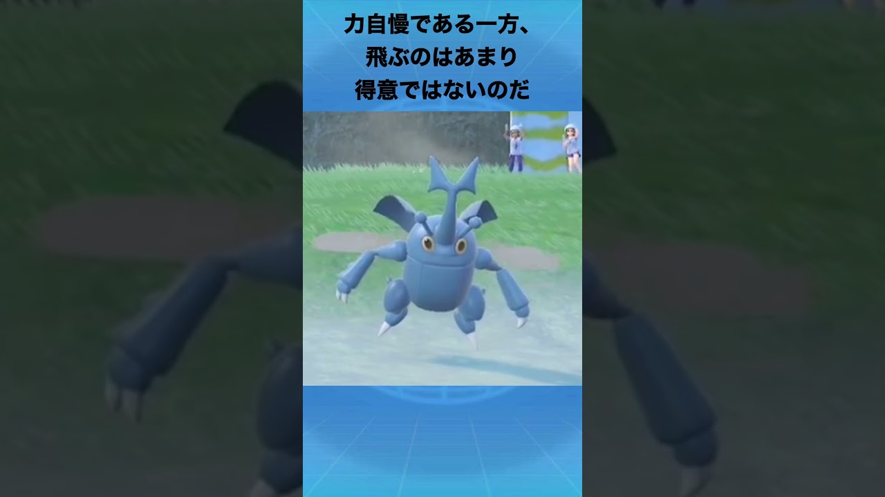 ヘラクロスについて #ポケモン #ヘラクロス #メガシンカ