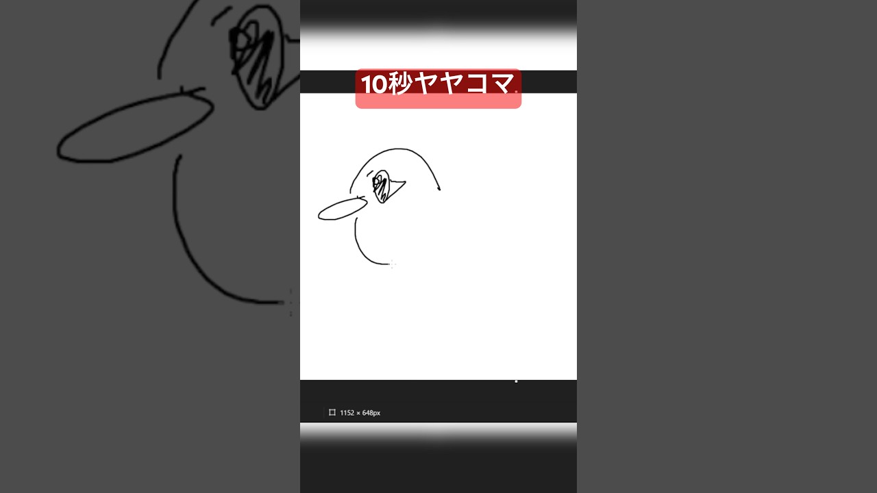 10秒ヤヤコマ描いてみた #ポケモン #ポケモンsv #pokemon #アニポケ  #10second  #fyp #ポケモンカード #pokemonfit #ポケモンza #fletchling
