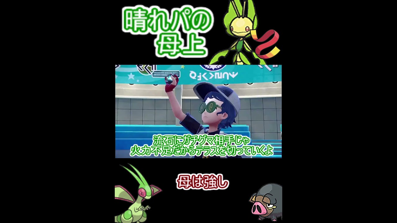 【ポケモンSV】晴れパ剣舞母上【ハハコモリ】  #ポケモンsv
