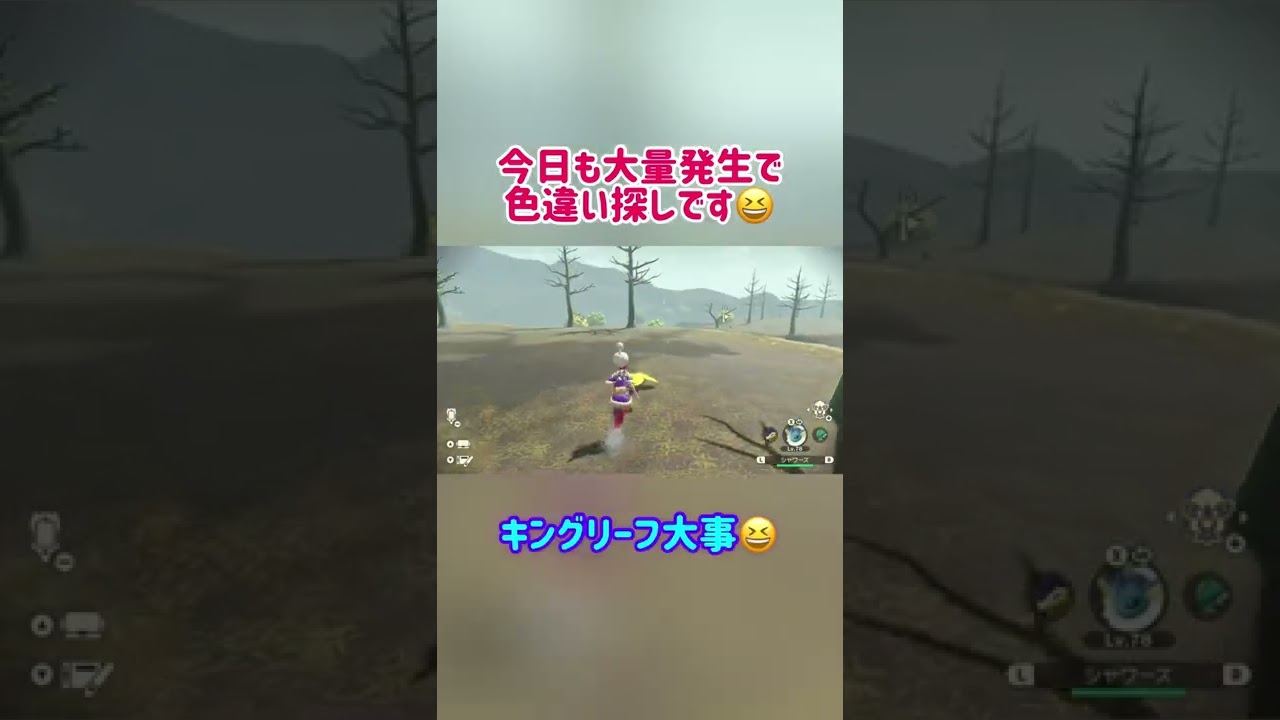 【ポケモン】ヌマでヌメイル！大量発生から色違い#3【Pokémon LEGENDS アルセウス】