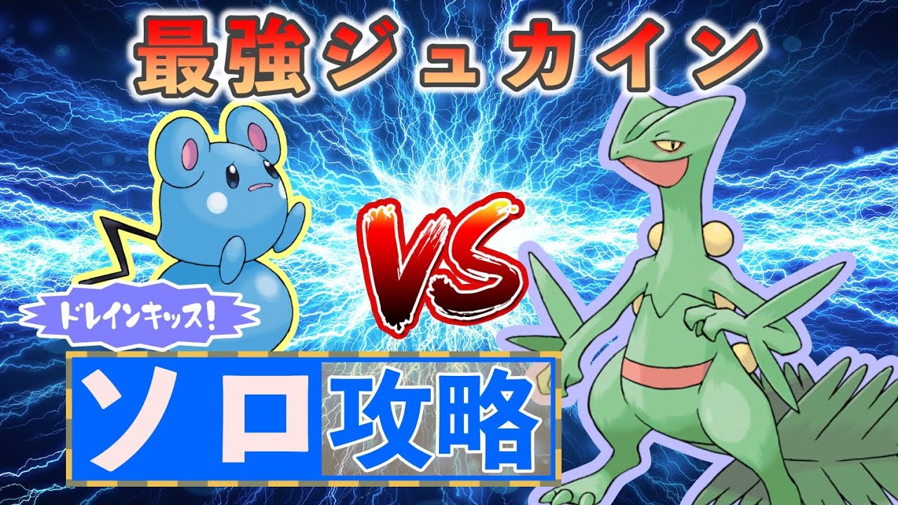 【ポケモンSV】 ルリリでソロ攻略 【最強ジュカイン】