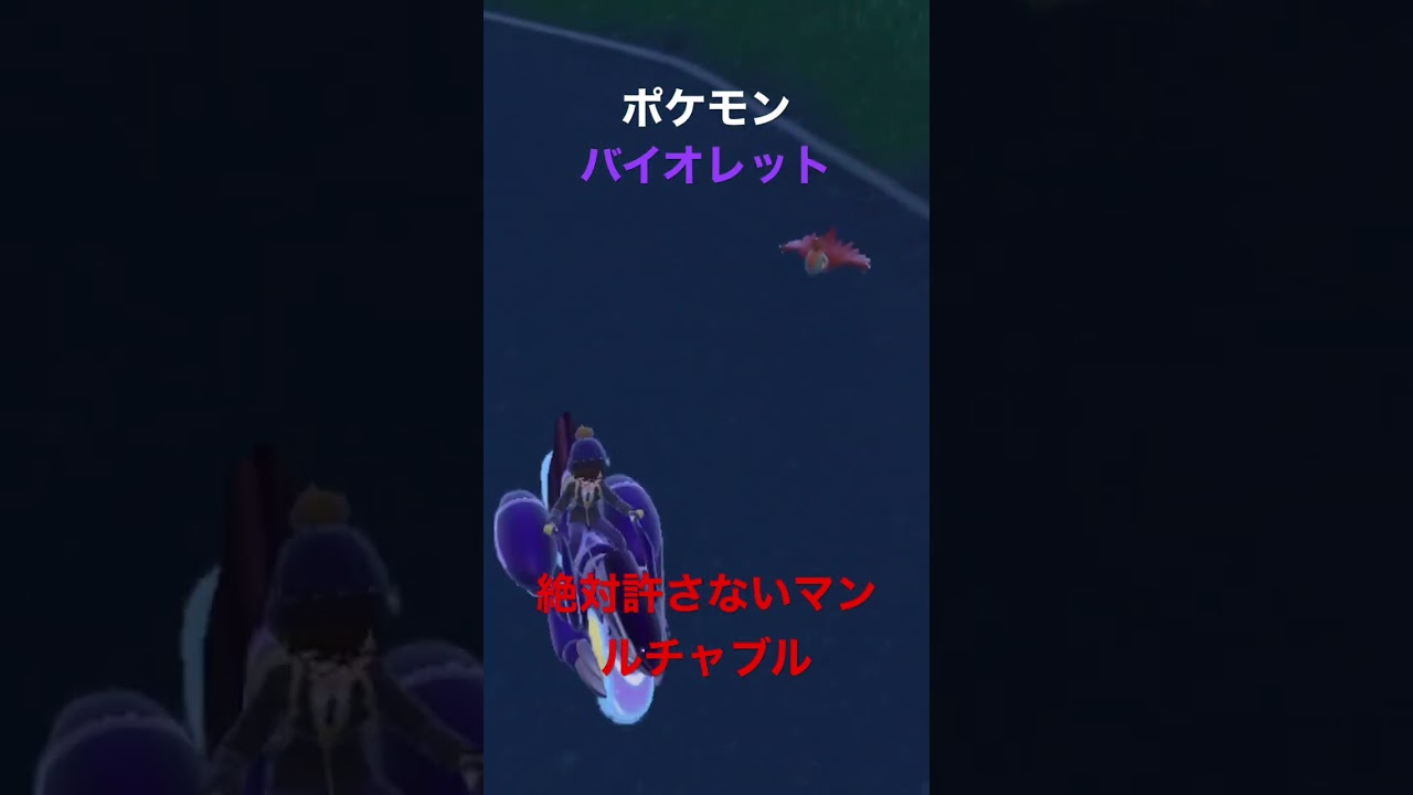 【ポケモンSV】ルチャブルの執念