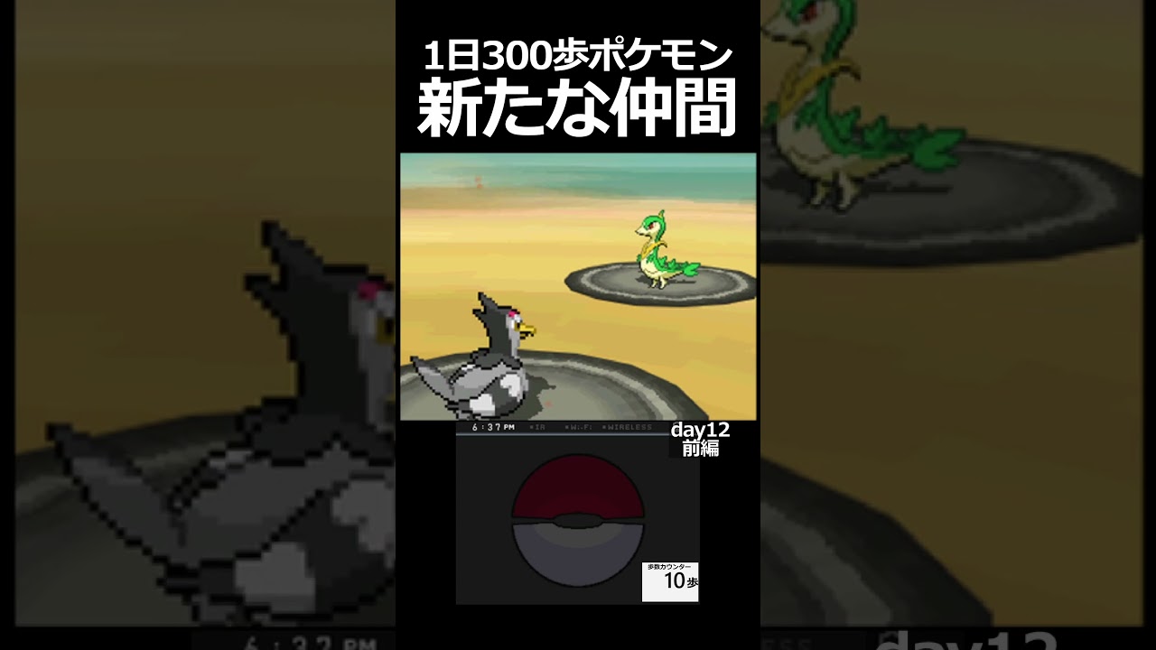 はると！メグロコ！危機一髪！！　day12前編【1日300歩ポケモン　ホワイト】
