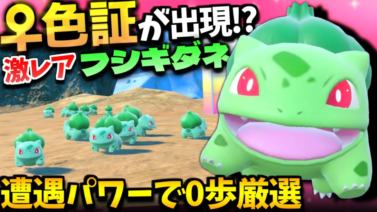 超低確率の御三家︎︎ ♀色証がついに出現!?フシギダネの色違いをそうぐうパワーで0歩厳選してたら激レア個体をGETｗ【ポケモンSV】【色違いポケモン】【色違い厳選】【藍の円盤】