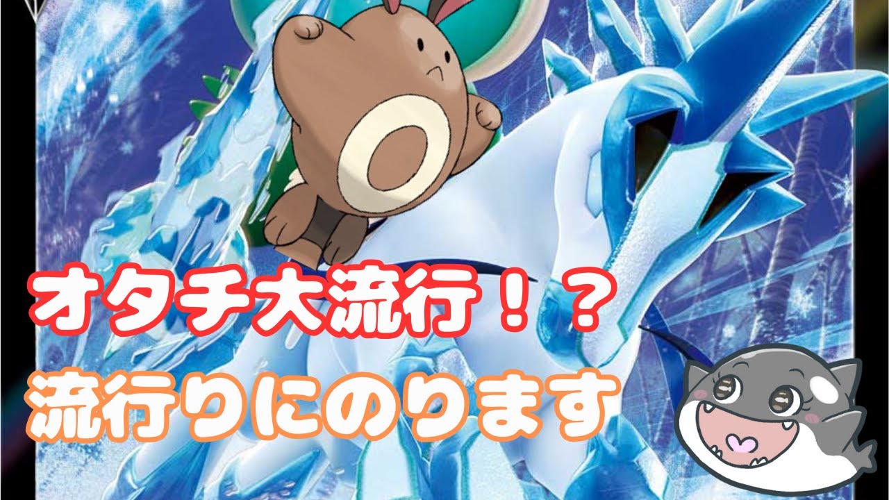 【ポケモンsv】  オタチ使用率急上昇！？　白バドレックスのNew相棒！💥【ダブルバトル】