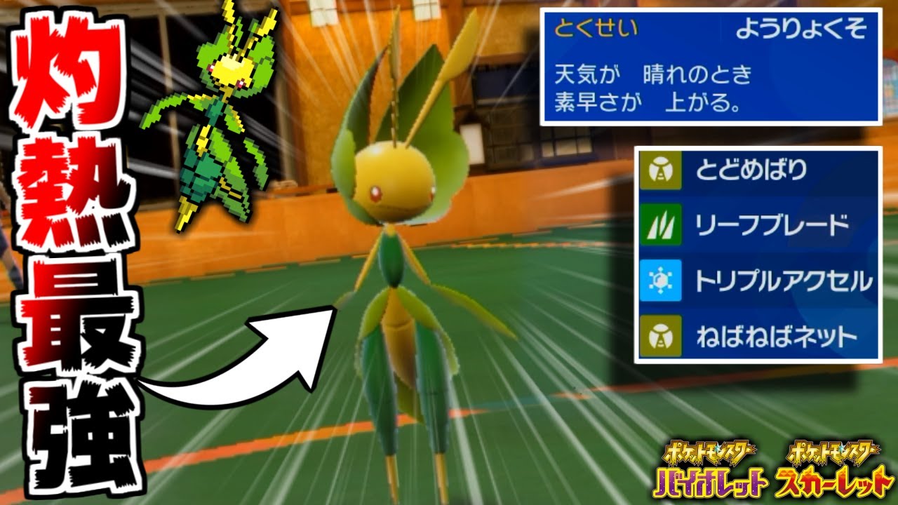 ”特性ようりょくそ”の「ハハコモリ」が、今の環境で最強だと信じて闘い続けた男の末路...【ポケモンSV実況】