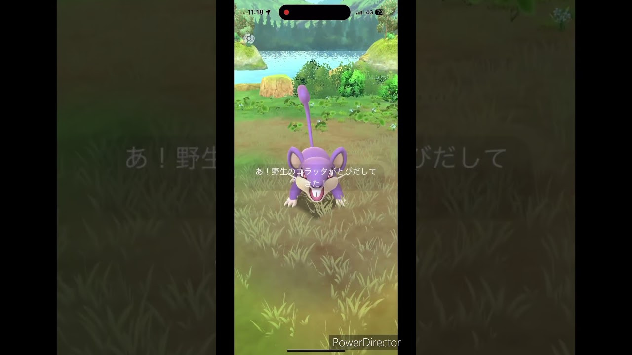 大ラッタ🐀#ポケモン #pokemon #ポケモンGO #ラッタ　#ネズミ