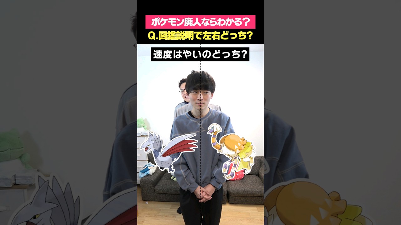 ポケモン廃人ならわかるよね？