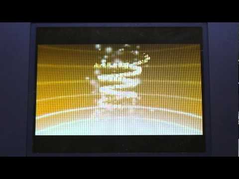 ポケットモンスターホワイト　モノズ最終進化・サザンドラ