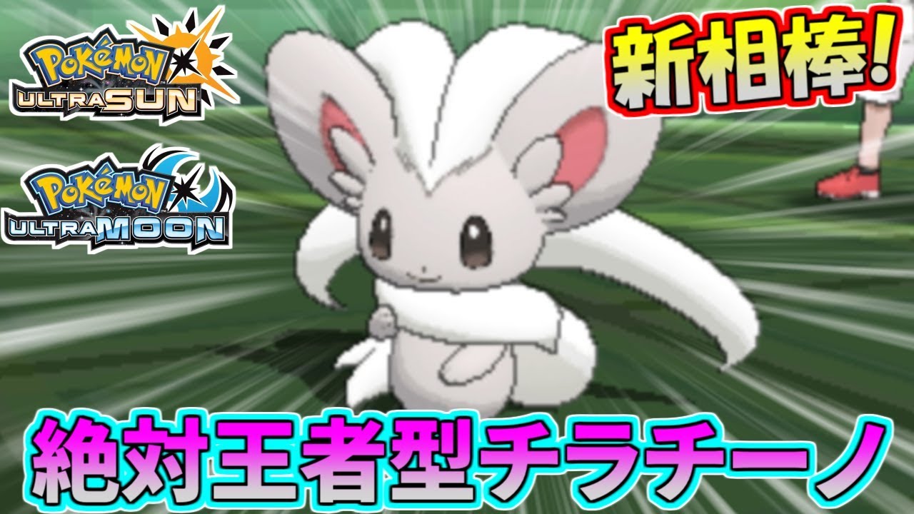 【ポケモンUSUM】新たな相棒爆誕！王者型チラチーノが止まらねえ…！【ウルトラサン/ウルトラムーン】