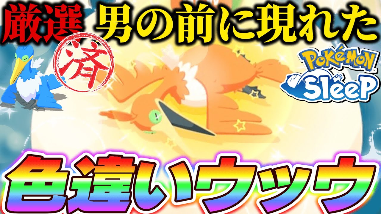 厳選が終了したウッウが色違いでなおかつ2匹目を検討することになりました【ポケモンスリープ】