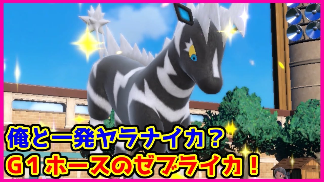 【ポケモン賭博黙示録】久しぶりのゼブライカでヤラナイカ【第37話 馬編】