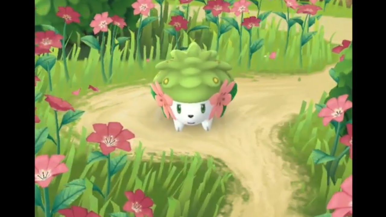 ポケモンGO　進化集　チゴラス　ゴース　ゴースト　ガーディ　オニスズメ　トランセル　ワンリキー　ゴマゾウ　コンパン　ハリマロン　フォッコ　マメパト　ヤドン　ヤヤコマ