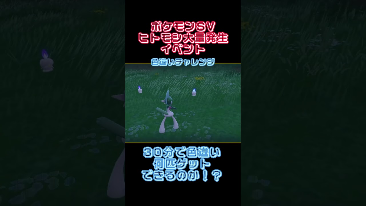 30分で色違いヒトモシ何匹ゲットできる！？ #ポケモンsv  #shorts