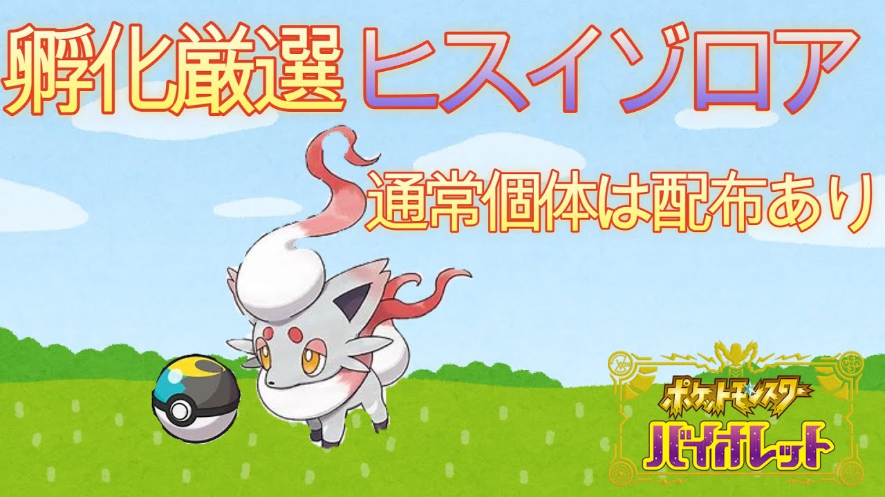 色違いヒスイゾロアと出会いたい！【ポケモンSV】