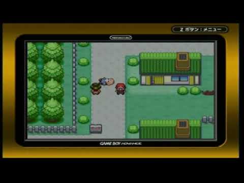 コラッタ何レベルででタケシは倒せるのか　その1