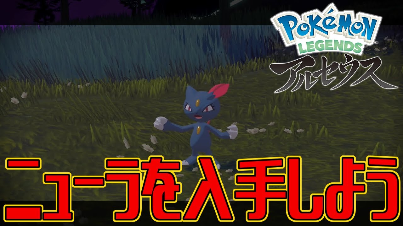 【ポケモンアルセウス】ニューラを入手しよう【Pokémon LEGENDS アルセウス】