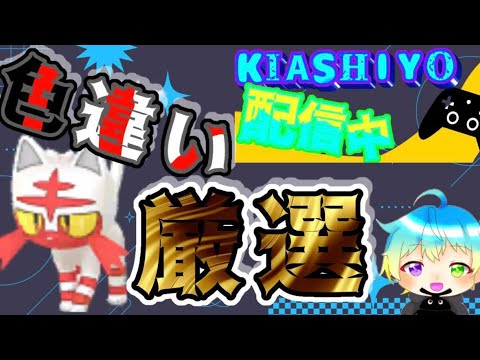 【ポケモンsv】ニャビー好きな方必見？！ニャビー色違い厳選！！！