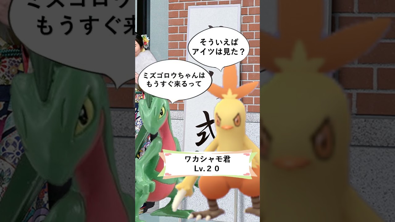 ショートコント「成人式」 #ポケモン #pokemon #ヌマクロー