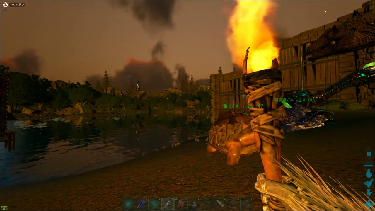 アーケオスに乗って.....るの？