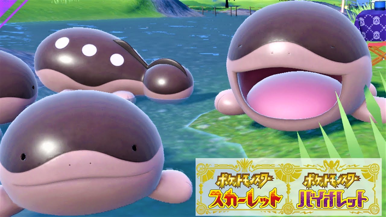 【かわいすぎた】ドオー６匹に囲まれて癒されピクニック【ポケモンSV】